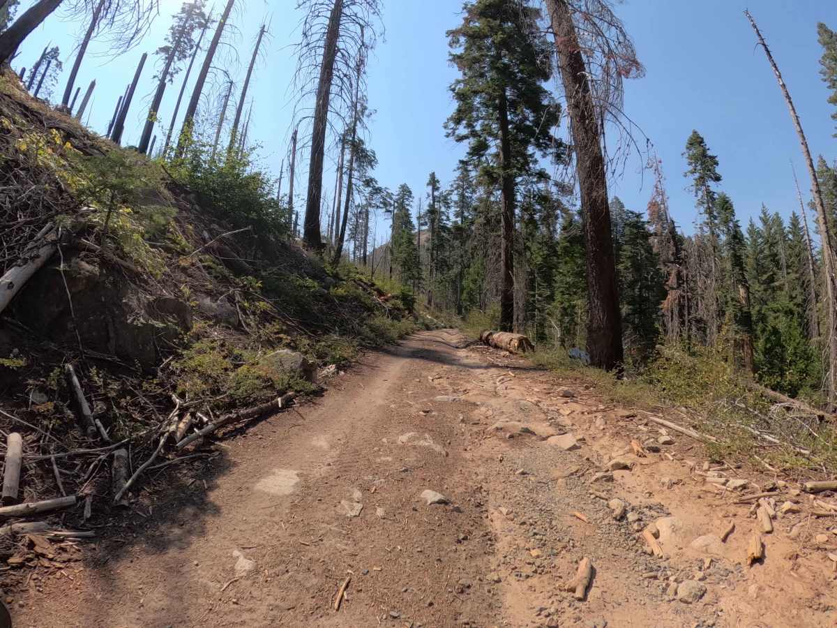 Dobler Meadow - FS 4S031 trail photo