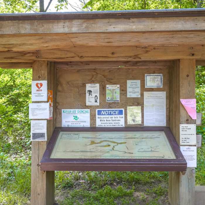 Near Walking Fern Trail Near Walking Fern Trail