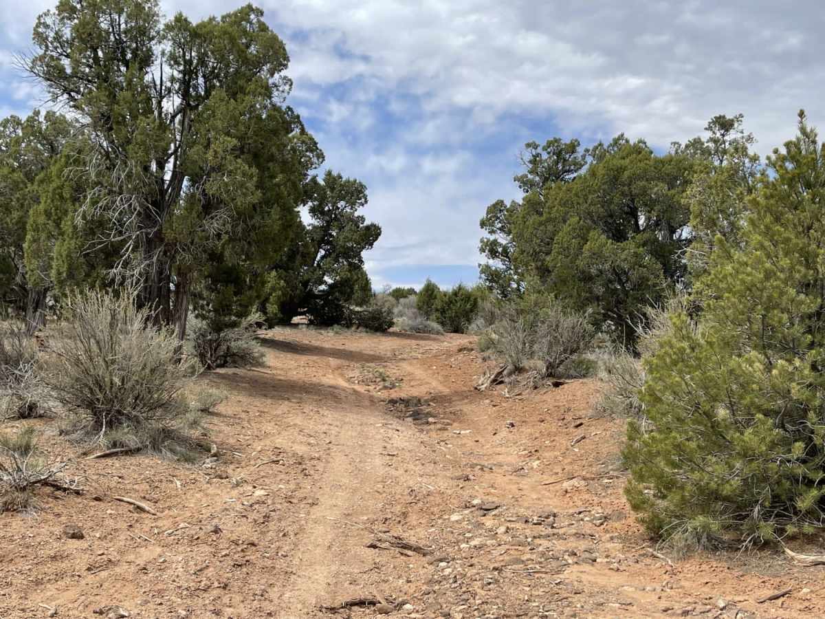 Mustang Knoll photo 6