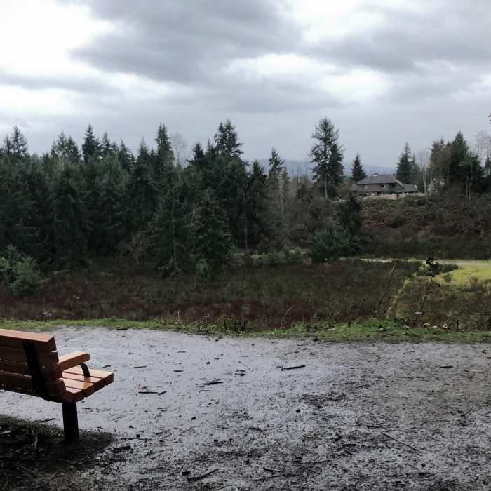 Near Watershed Park Main Trail