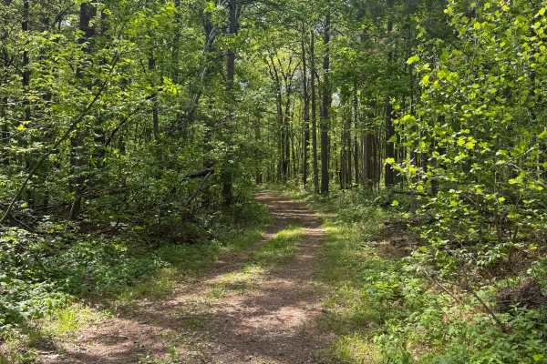 River to River Trail