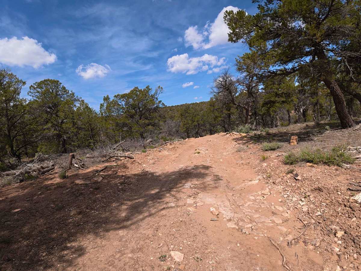 Little Mesa photo 5