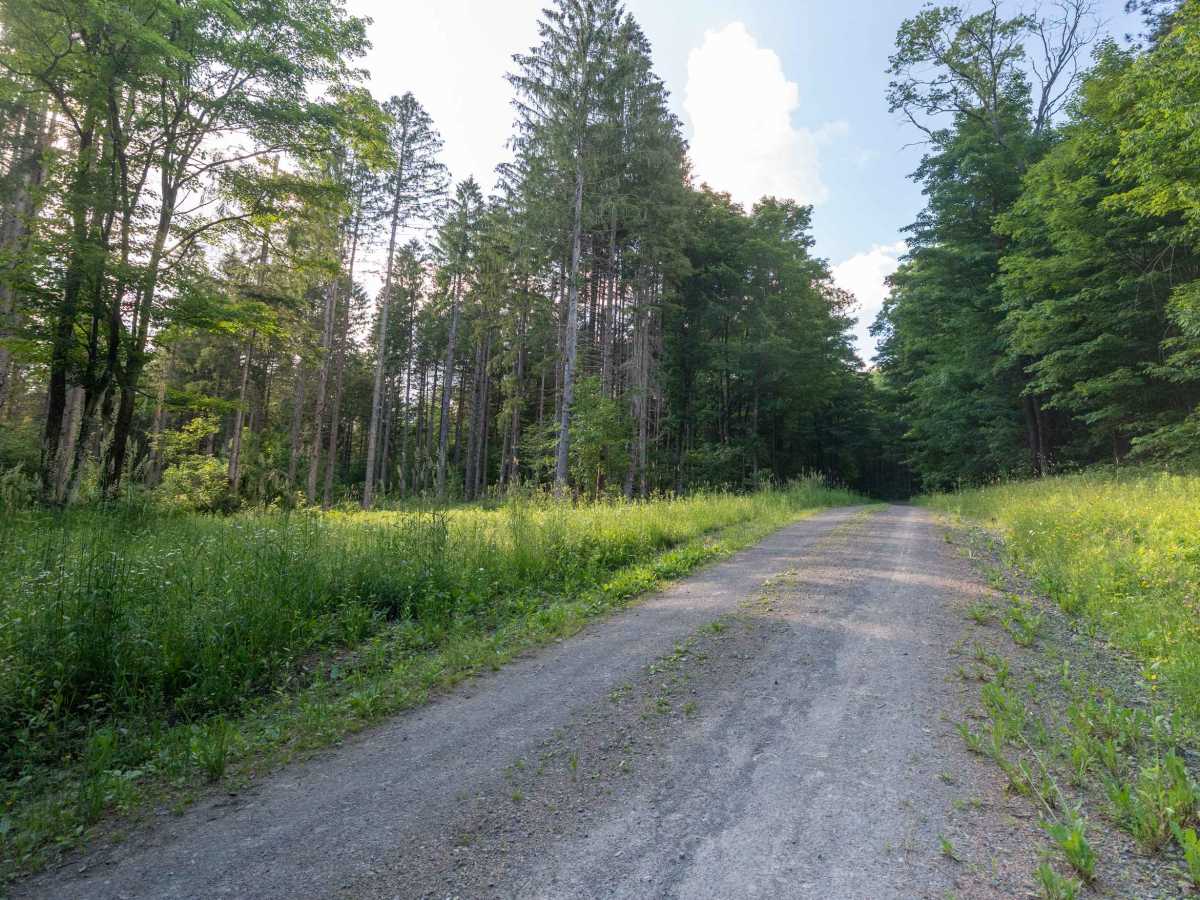 Truck Trail 9 - Kelley Road photo 3