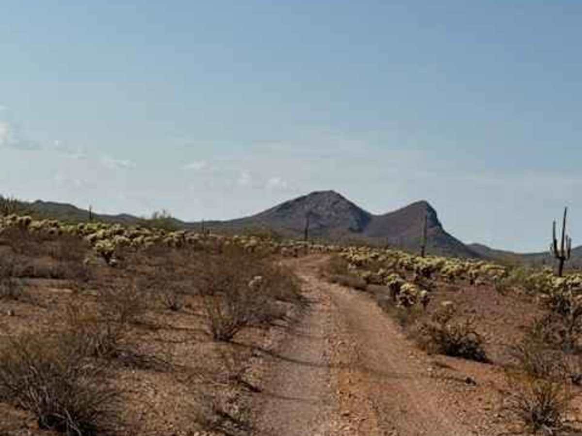 BLM 39160 photo 6