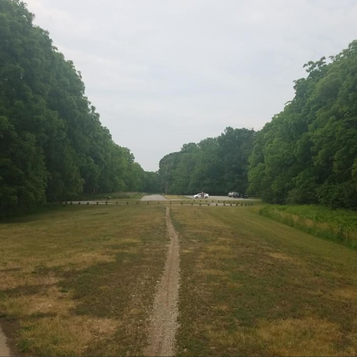 Looking down the road Near Fall Creek Trail