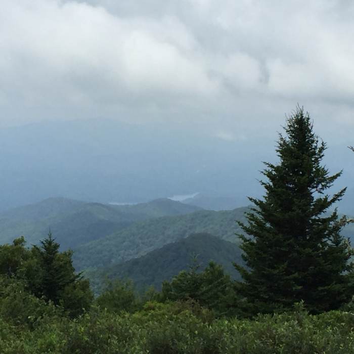 Andrew's Bald - 06/09/16 Near Andrews Bald Out and Back