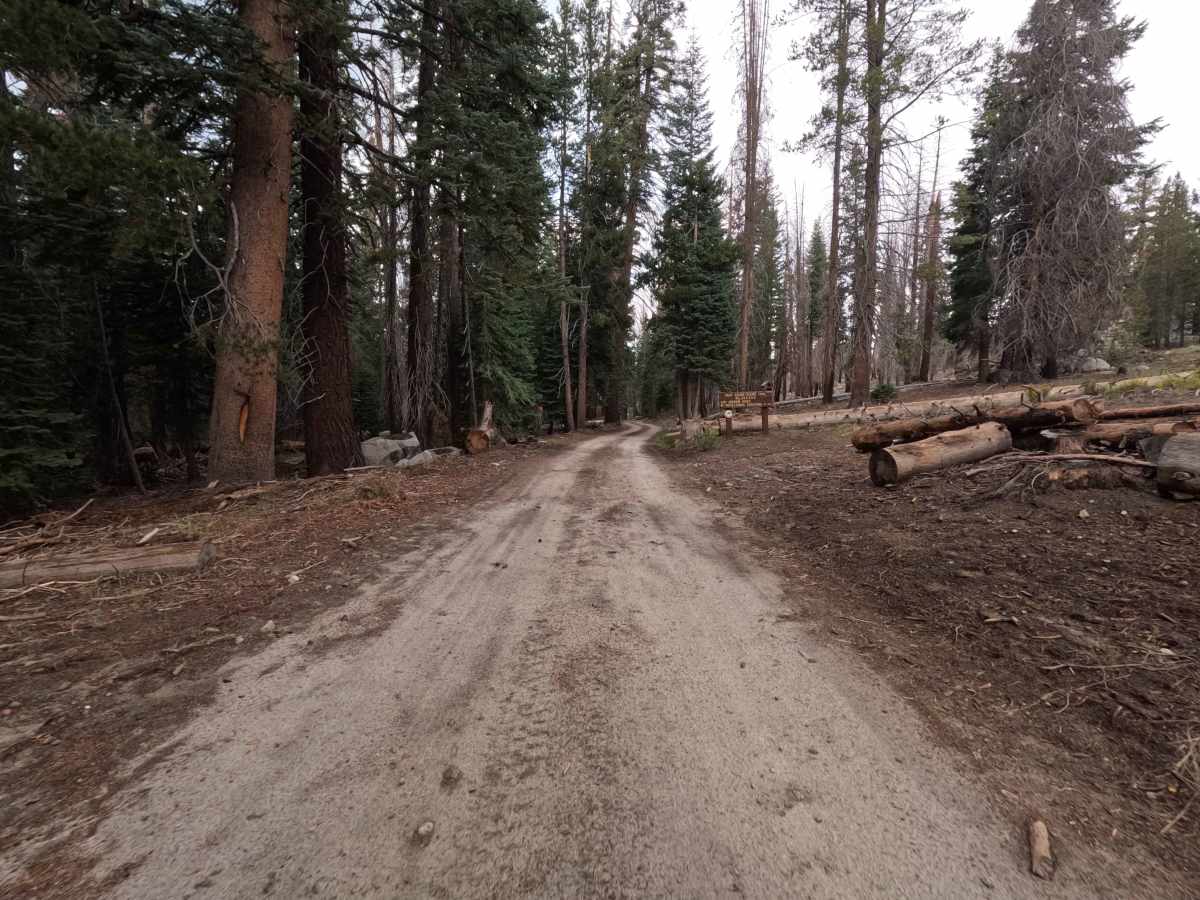 Stump Springs Road - FS 7S005 photo 2