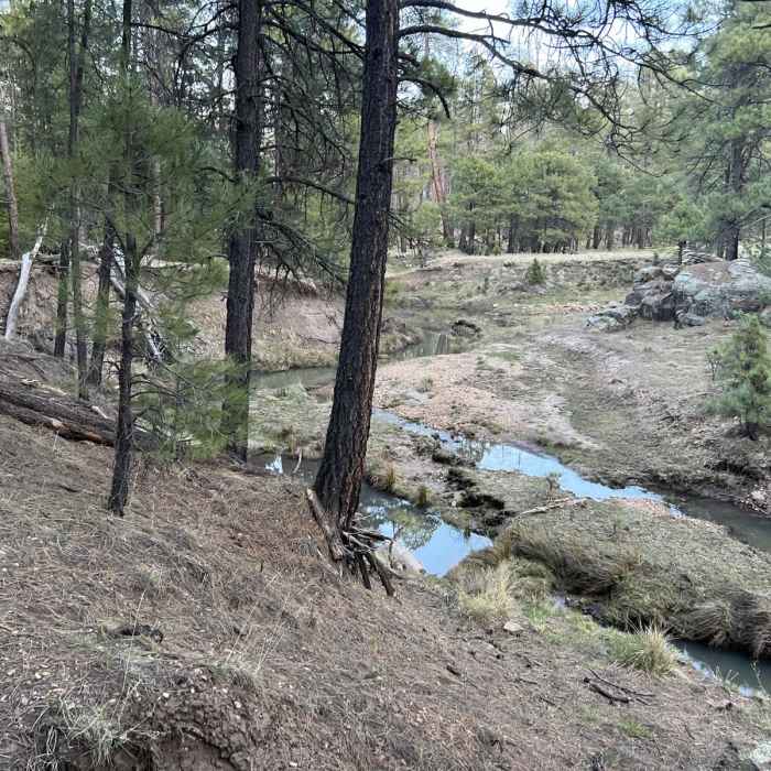 Near Rock Crossing Campground to General Springs Cabin