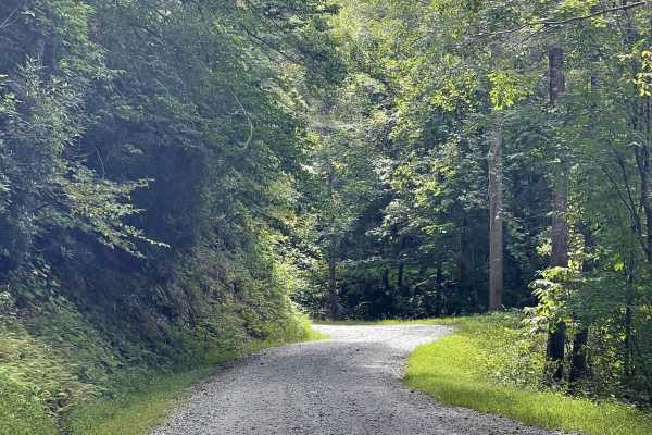 Waterfalls Road