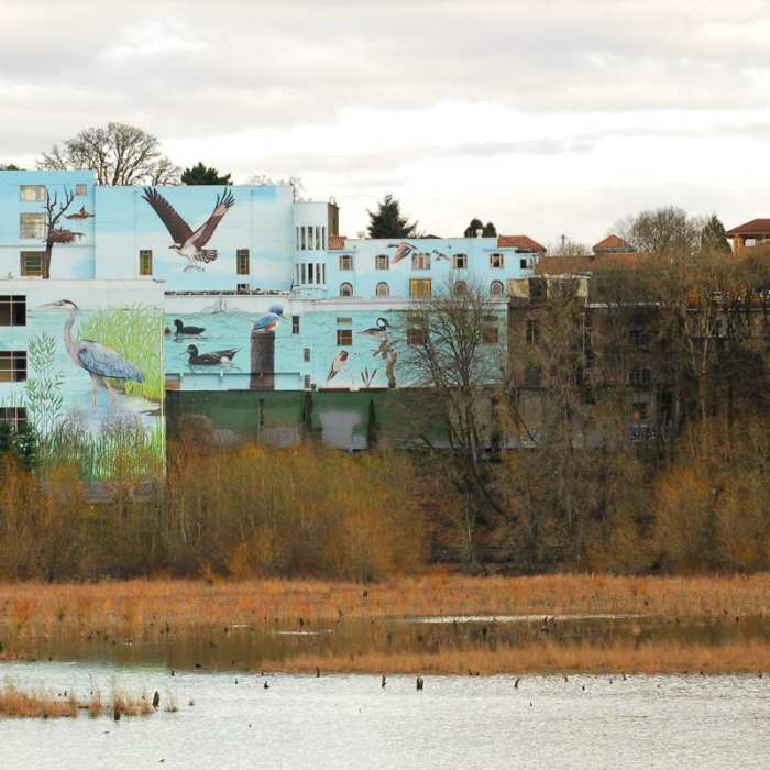 Near Oaks Bottom Hiking Trails