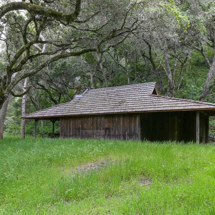 Near Fern Falls Hike