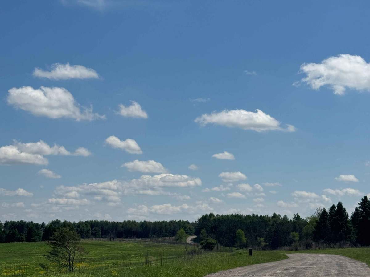 Woolridge Road photo 3