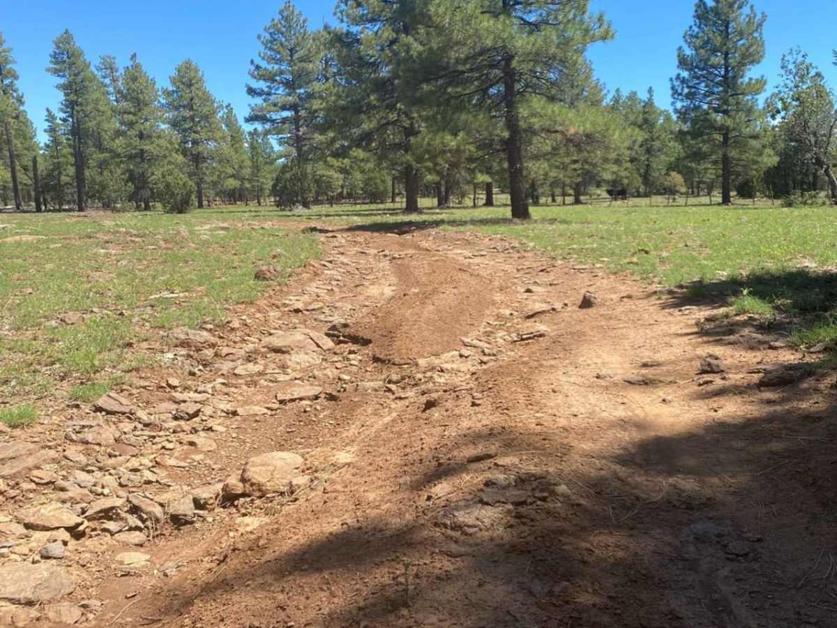 Thomas Point Trail photo 5