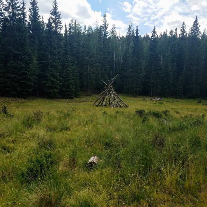 Near Raspberry Mountain Trail