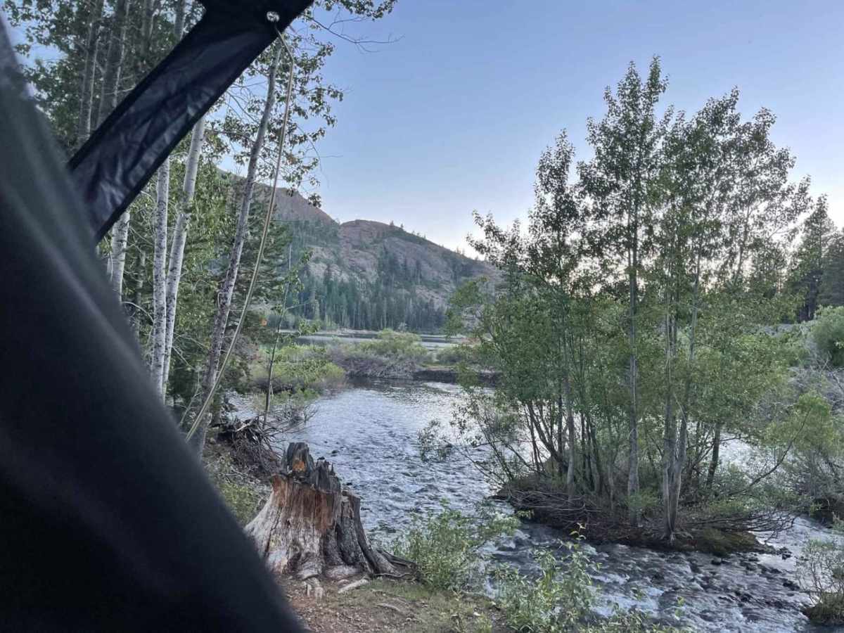 Bowman Lake trail photo