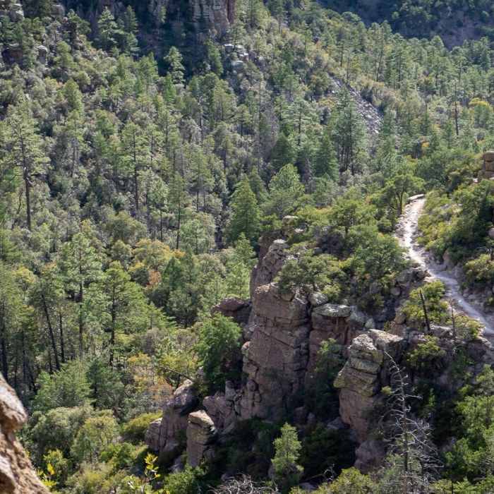 Looking down on a trail from above. Near Echo Canyon Trail