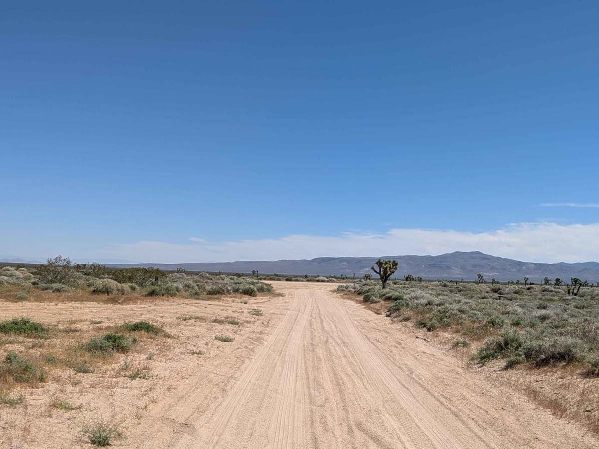 BLM SC106 photo 3