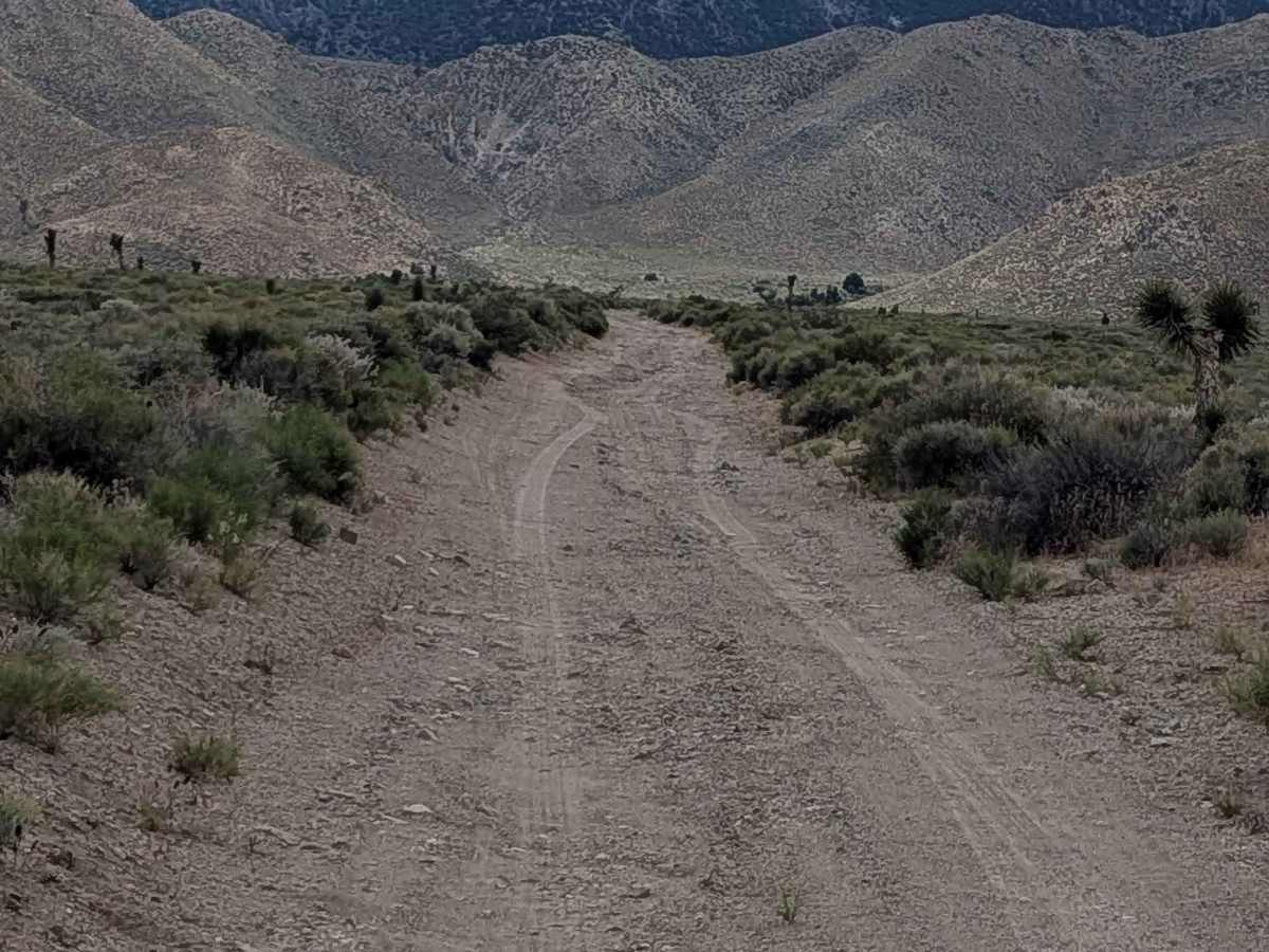 BLM SE743 photo 4