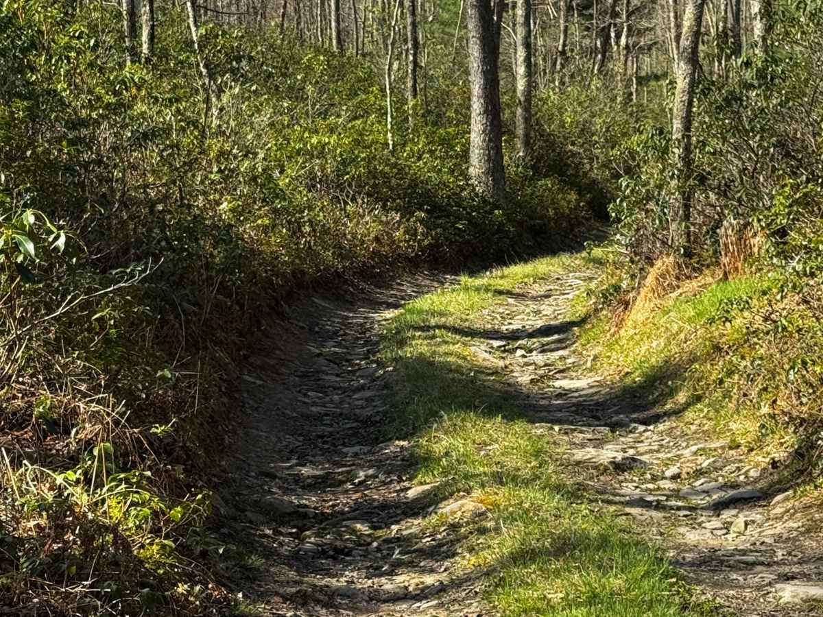 Dishpan Hollow Road photo 2