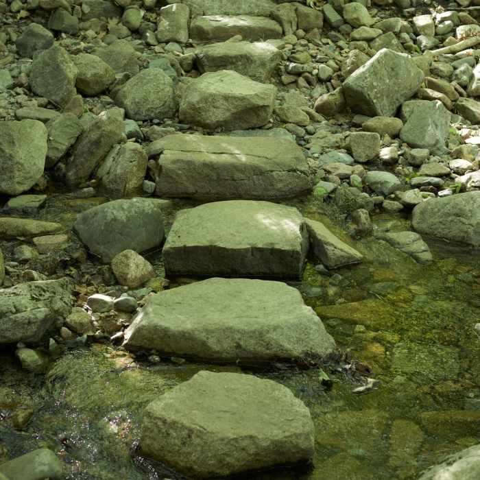 Near Kebo Brook Trail