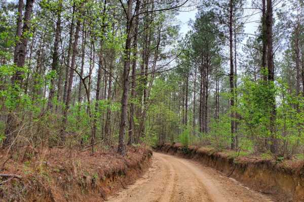 The Arkansas Overland Route - Section 5 - Highway 76 to Highway 278