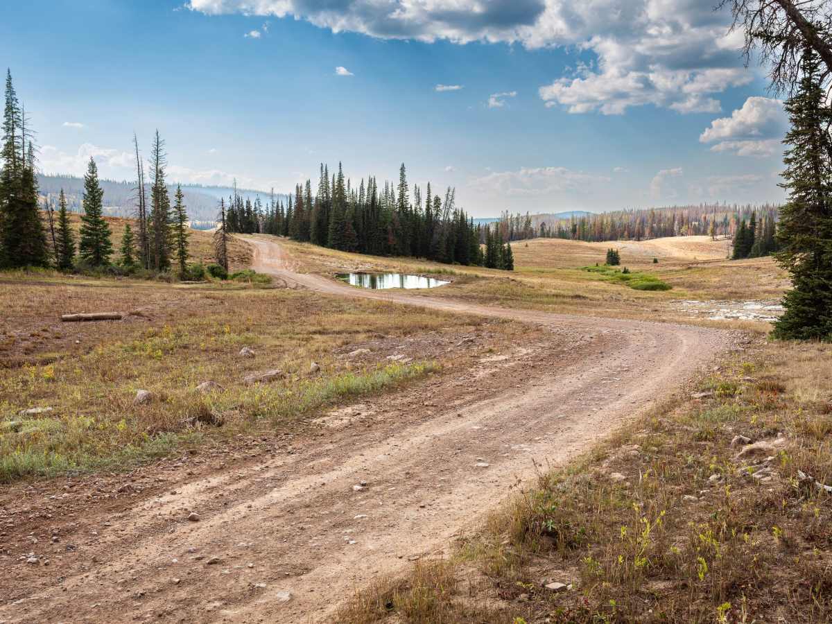 Silver Meadows - FS 70174 photo 2