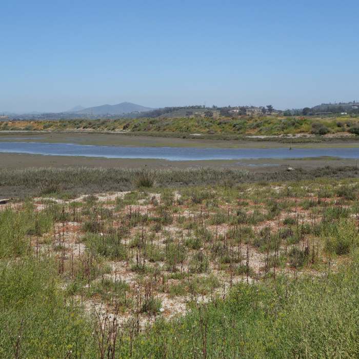 San Dieguito River flowing through the San Dieguito Lagoon. Near Coast to Crest Trail: San Dieguito Lagoon