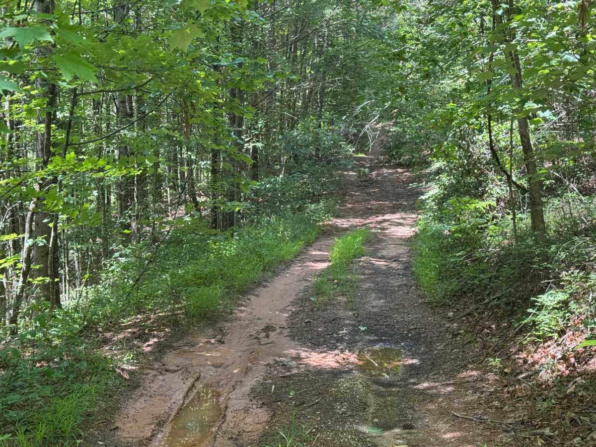 Pigpen Gap - FS 417 photo 4