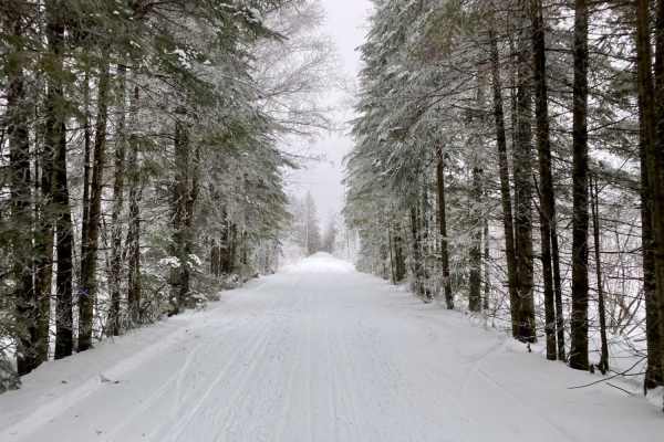 Gandy Dancer Trail
