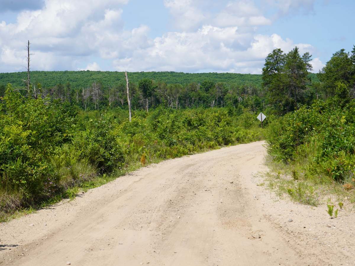 Shepards Trail photo 2