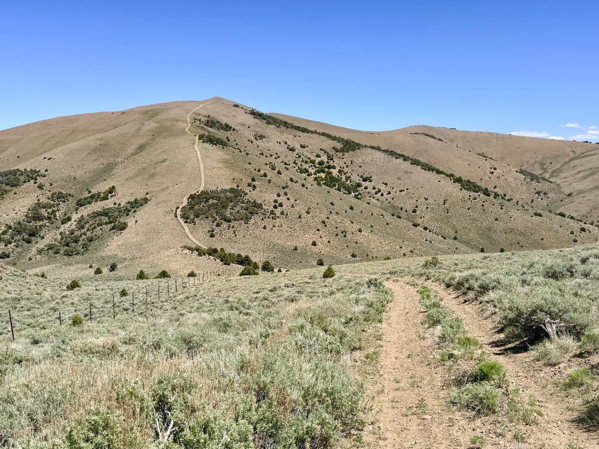 Charnac Brock Canyon - FS 43129 trail photo