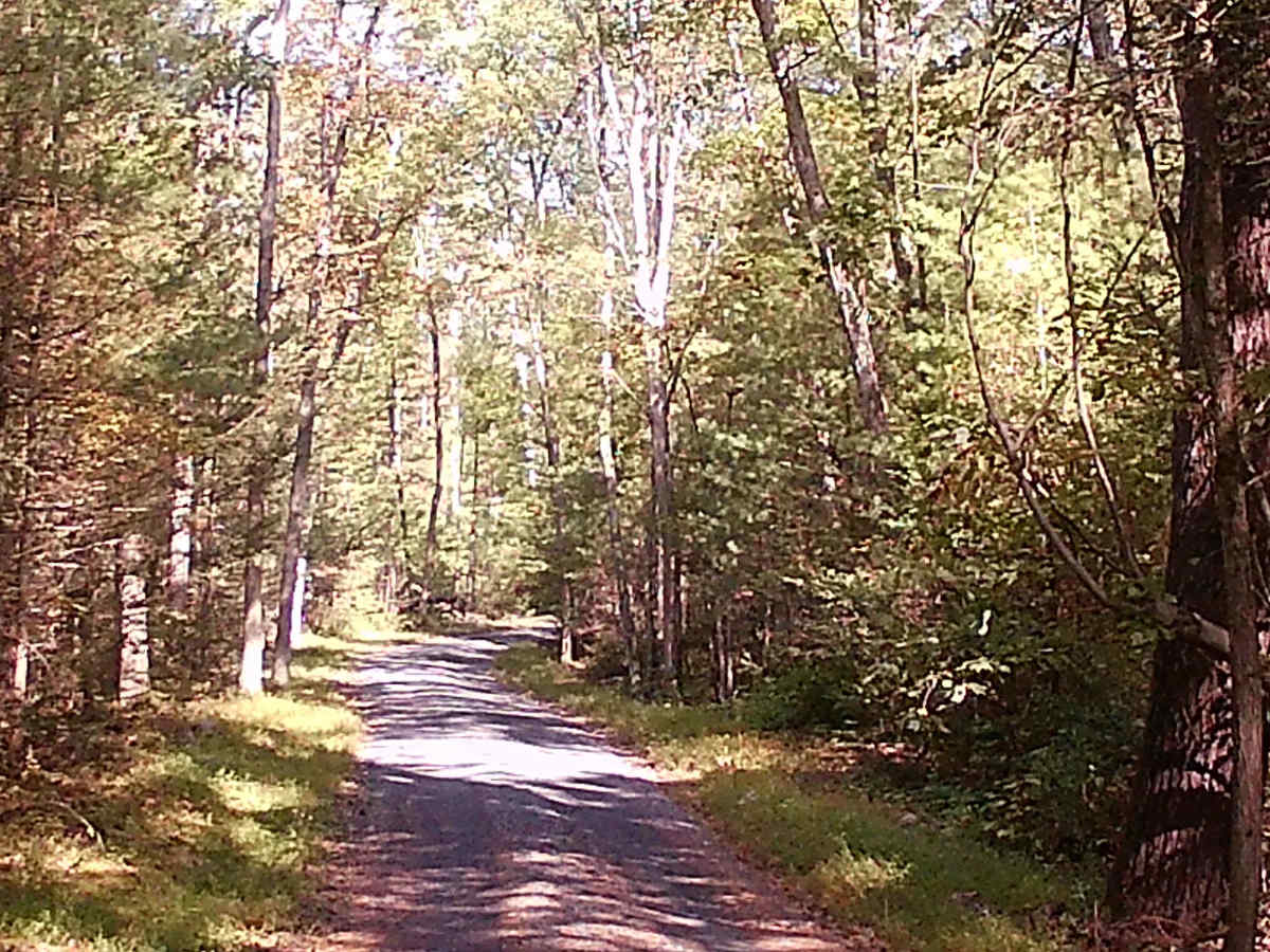 Spruce Mountain Road photo 2