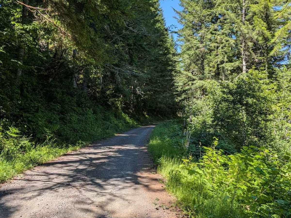 Yachats River Road - FS 54 trail photo