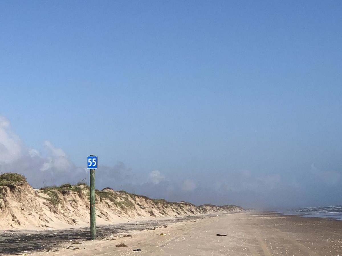 Padre Island National Seashore photo 5