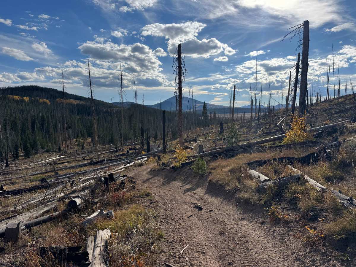 Manzanares Connector Trail photo 4