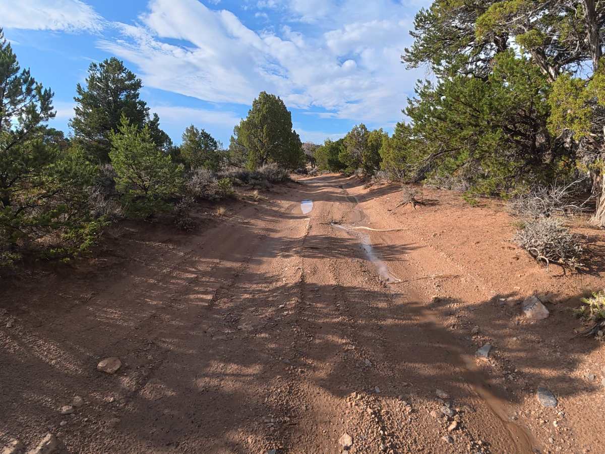 BLM 621 photo 2