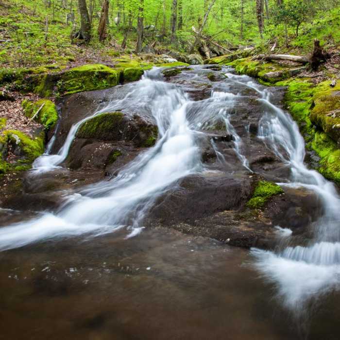 Near Rose River + Dark Hollow Falls via Big Meadows Near Rose River + Dark Hollow Falls via Big Meadows