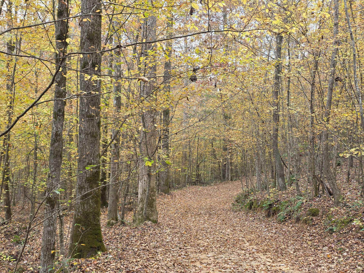 High Point Access photo 4
