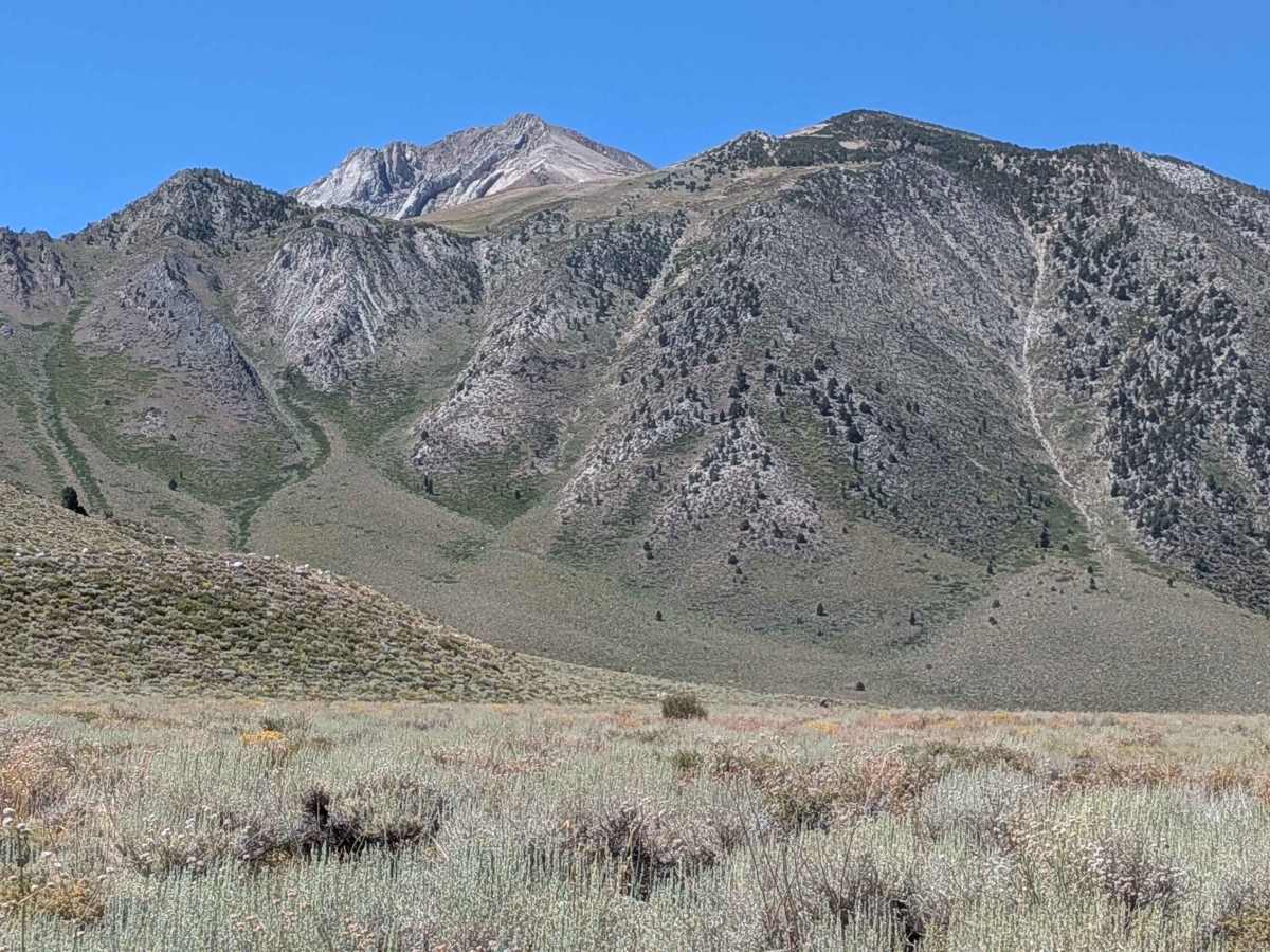 Sherwin Creek Cutoff FS 4S31 photo 6