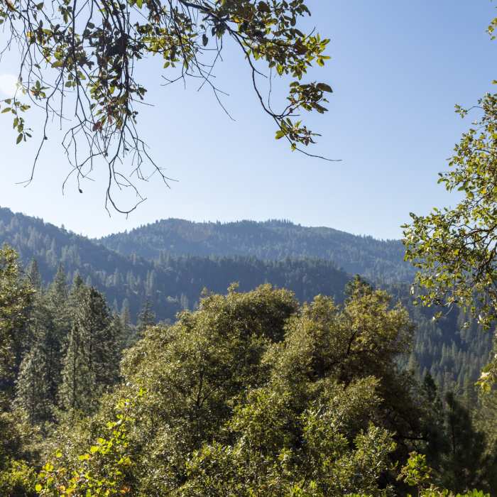 Near Feather Falls Loop