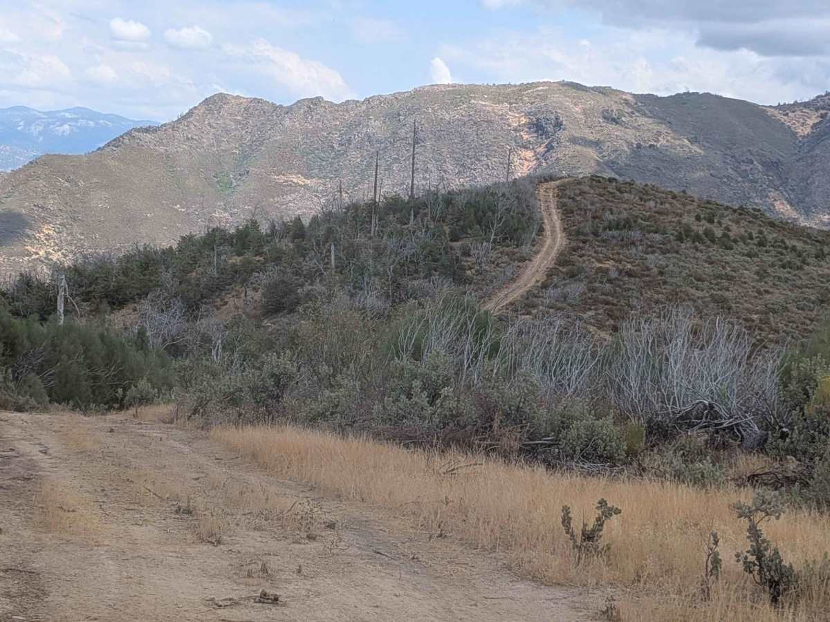 Gimasol Ridge - FS 3S007 trail photo