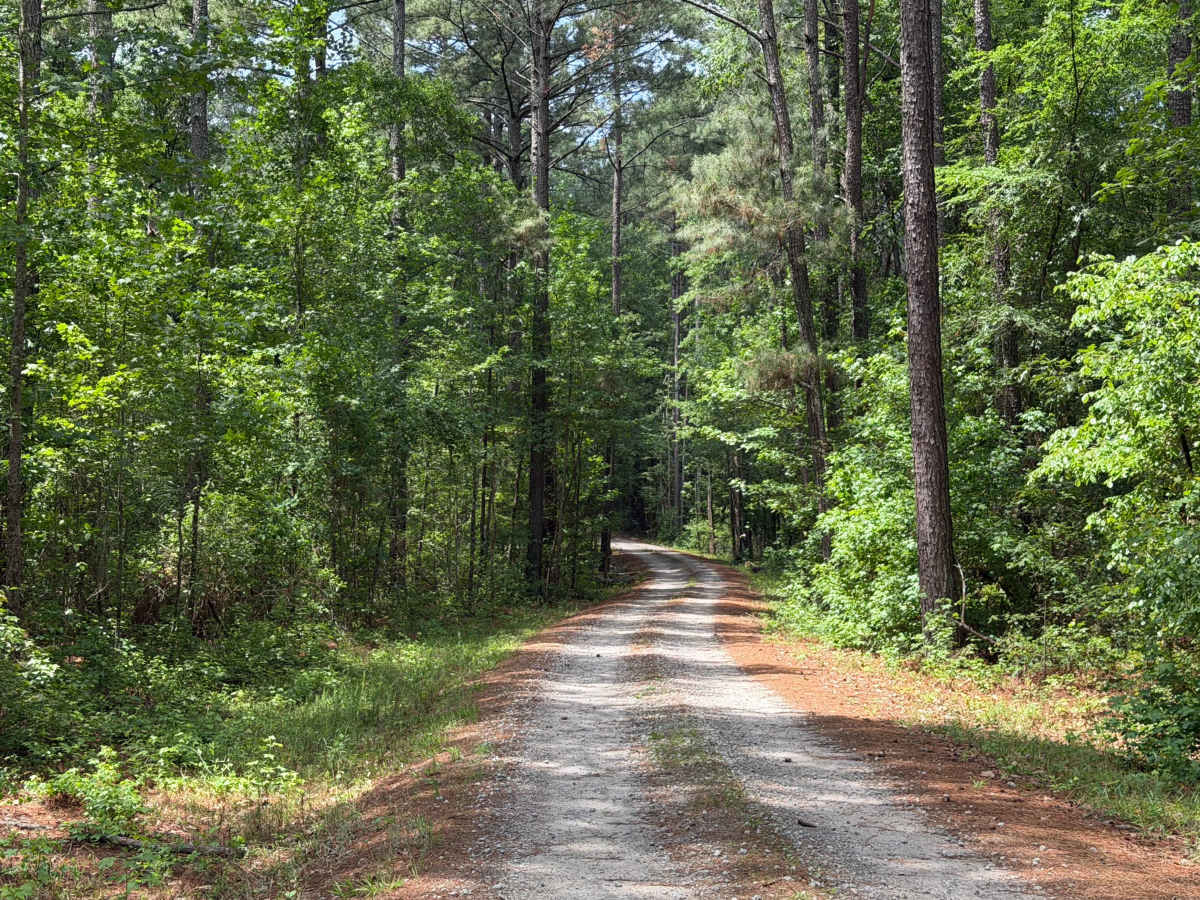 Dusty Road photo 4