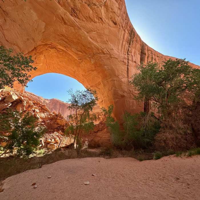 Near Coyote Gulch via Hurricane Wash