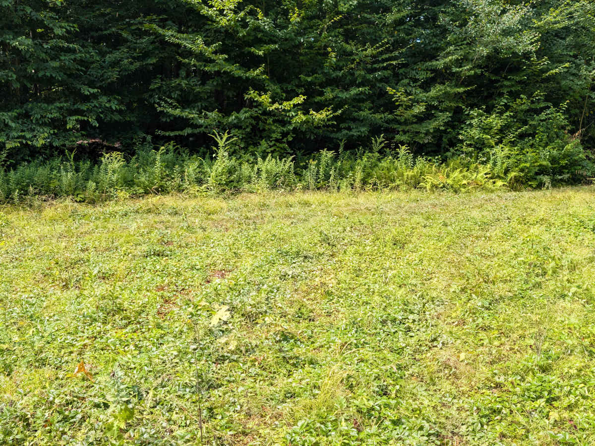 Grass River Trail photo 6