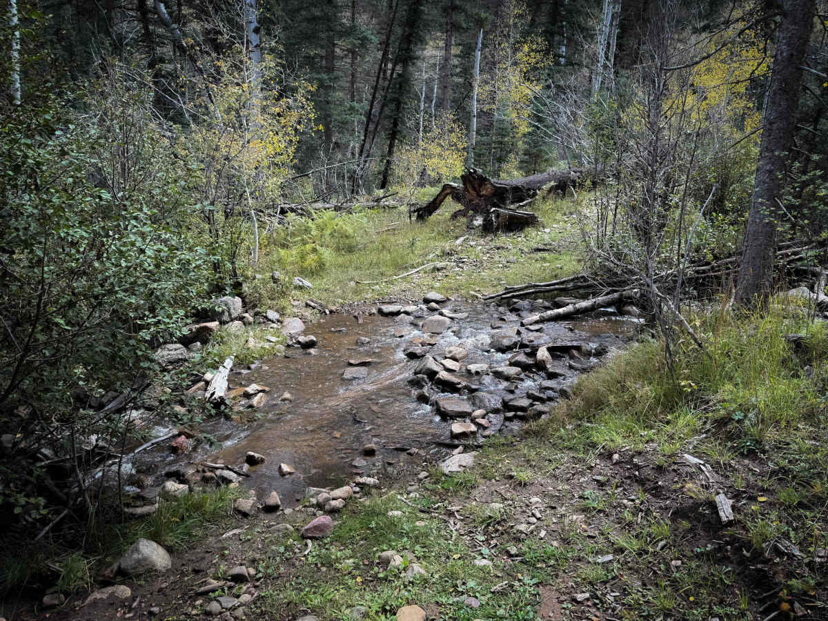 Agua Piedra Trail - FS 19A  photo 6