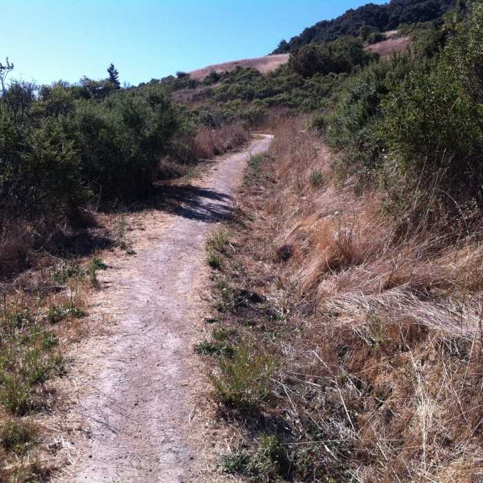 First time at Skyline Ridge. Heading in! Near Skid Road Trail