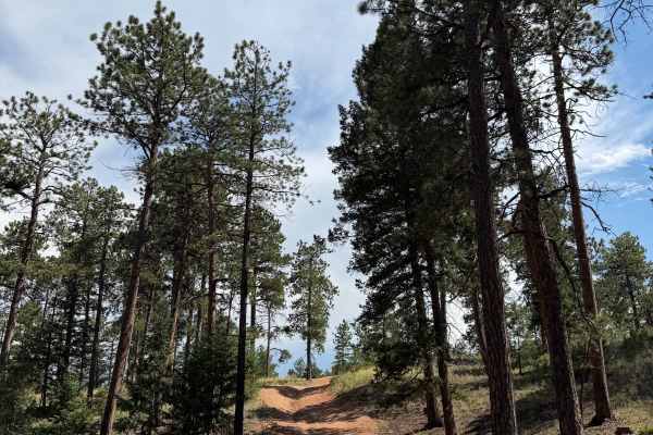 Lower Johns Gulch Road