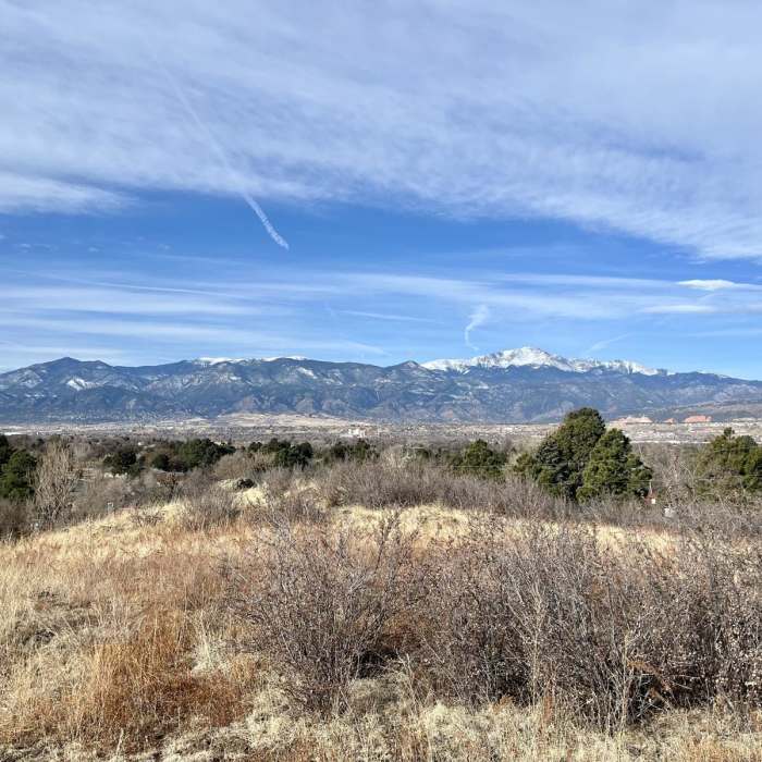 Near Palmer Point Trail