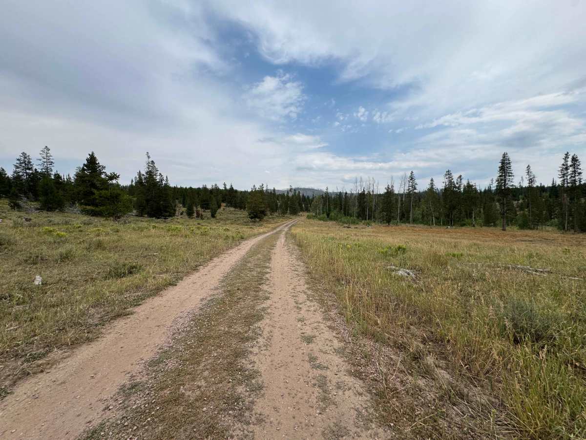 Morgan Creek Road - FS 442 photo 2