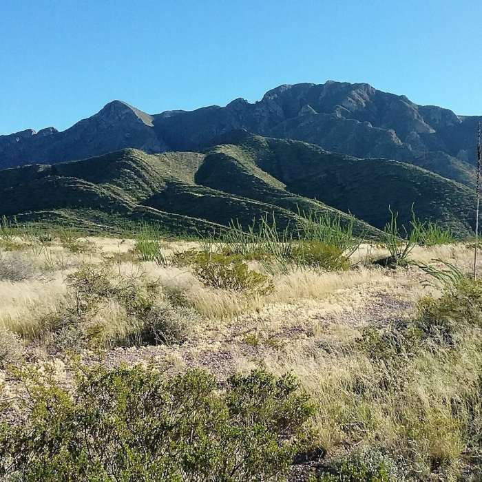 Looking east from the trail Near Bike Loops